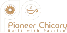 PIONEER CHICORY